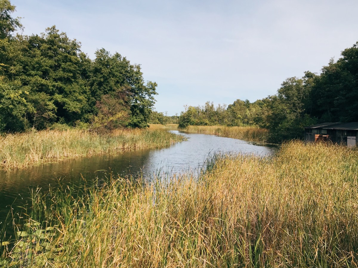 Day 2 of “I am doing this” – Rheinsberg –&nbsp;Mirow