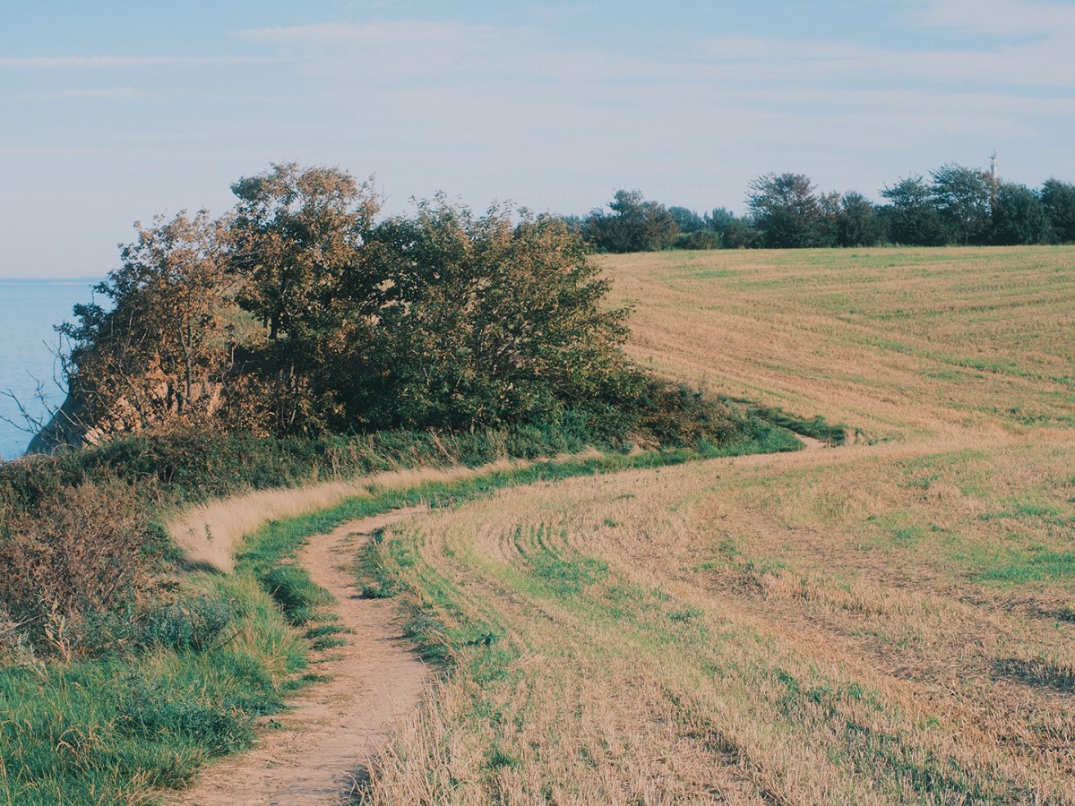 Day 3 of “I am doing this again” – Altenholz >&nbsp;Schwedeneck