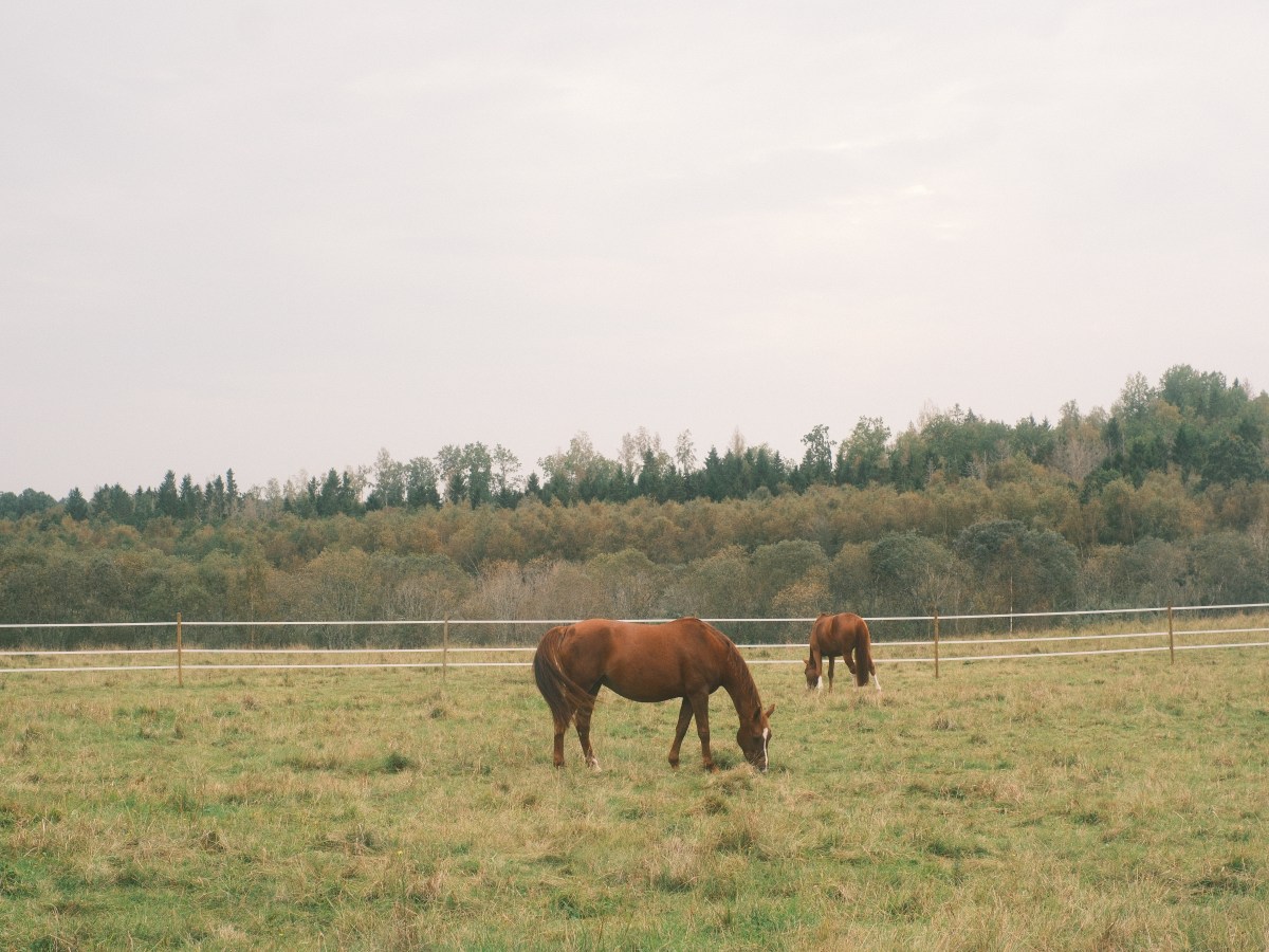 “And Then Sweden Happened” – 8 Days of Dreaming, Walking & Wandering in Sweden (Day&nbsp;3)