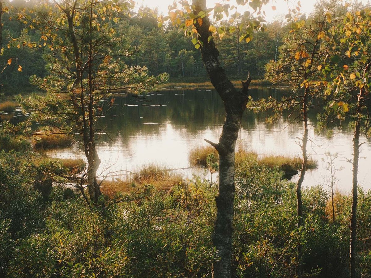 “And Then Sweden Happened” – 8 Days of Dreaming, Walking & Wandering in Sweden (Day&nbsp;2)